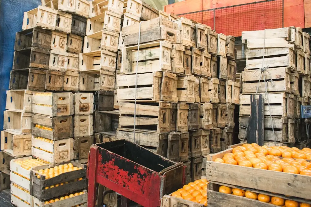 服装服饰与鞋帽箱包品牌折扣采购指南:上海赛领炫贸易产品线解析